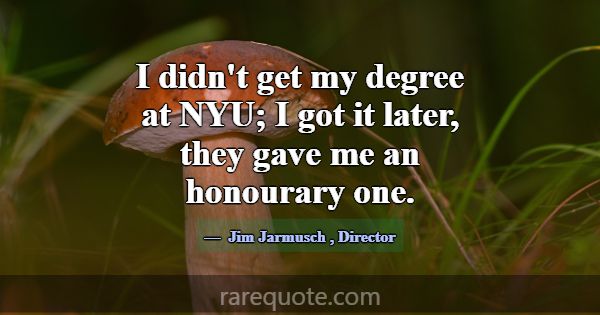 I didn't get my degree at NYU; I got it later, the... -Jim Jarmusch