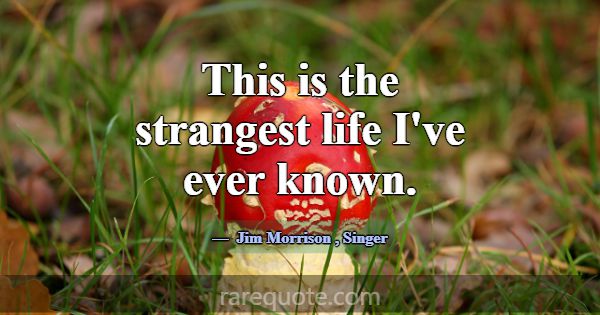 This is the strangest life I've ever known.... -Jim Morrison