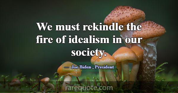We must rekindle the fire of idealism in our socie... -Joe Biden