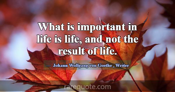 What is important in life is life, and not the res... -Johann Wolfgang von Goethe
