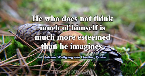 He who does not think much of himself is much more... -Johann Wolfgang von Goethe