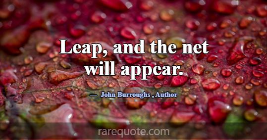 Leap, and the net will appear.... -John Burroughs