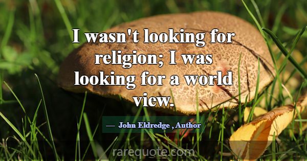 I wasn't looking for religion; I was looking for a... -John Eldredge