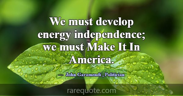 We must develop energy independence; we must Make ... -John Garamendi