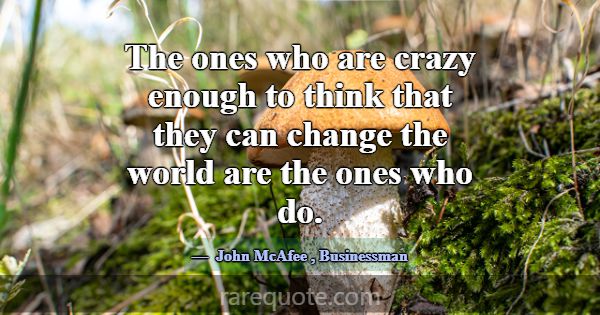 The ones who are crazy enough to think that they c... -John McAfee
