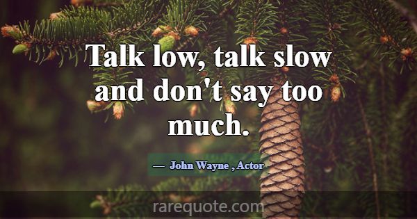 Talk low, talk slow and don't say too much.... -John Wayne