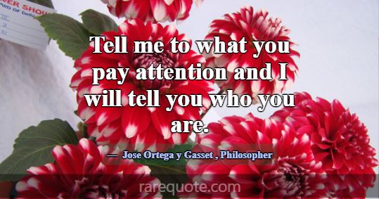 Tell me to what you pay attention and I will tell ... -Jose Ortega y Gasset