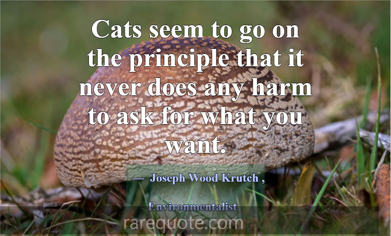 Cats seem to go on the principle that it never doe... -Joseph Wood Krutch