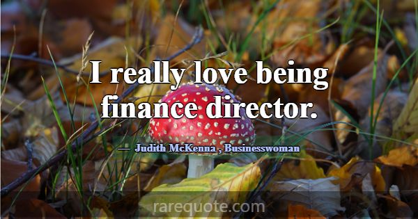 I really love being finance director.... -Judith McKenna