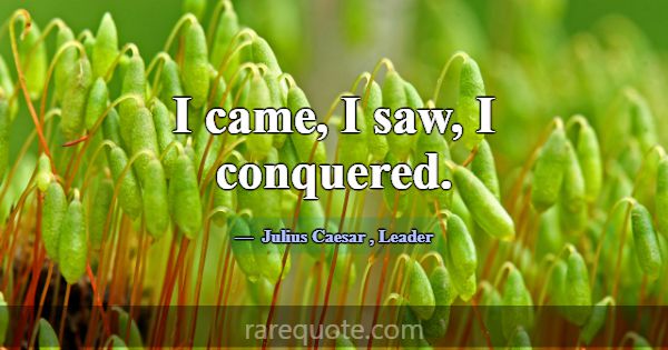 I came, I saw, I conquered.... -Julius Caesar