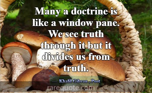 Many a doctrine is like a window pane. We see trut... -Khalil Gibran