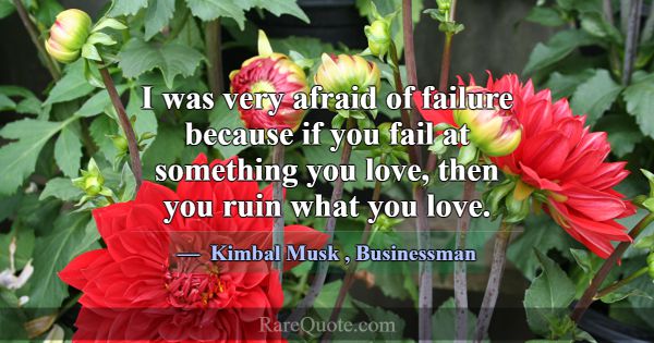 I was very afraid of failure because if you fail a... -Kimbal Musk
