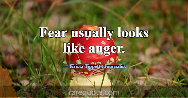 Fear usually looks like anger.... -Krista Tippett