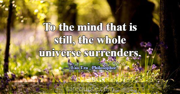 To the mind that is still, the whole universe surr... -Lao Tzu