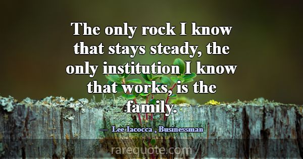 The only rock I know that stays steady, the only i... -Lee Iacocca