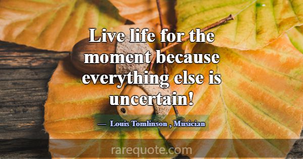 Live life for the moment because everything else i... -Louis Tomlinson