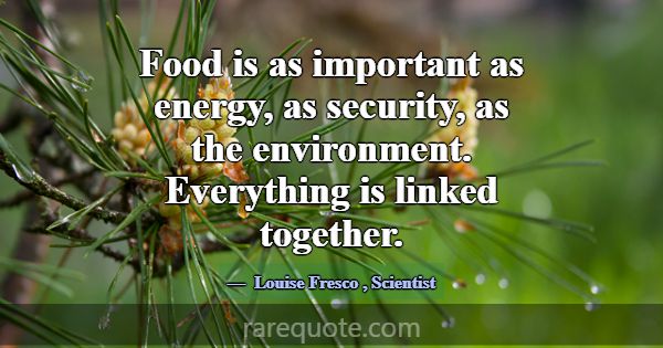Food is as important as energy, as security, as th... -Louise Fresco