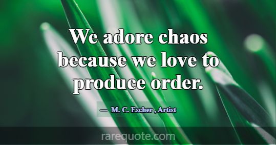 We adore chaos because we love to produce order.... -M. C. Escher