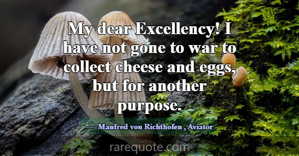My dear Excellency! I have not gone to war to coll... -Manfred von Richthofen