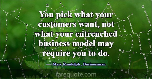 You pick what your customers want, not what your e... -Marc Randolph