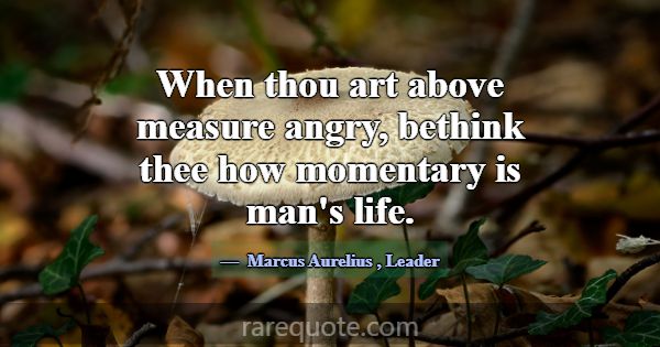 When thou art above measure angry, bethink thee ho... -Marcus Aurelius