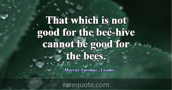 That which is not good for the bee-hive cannot be ... -Marcus Aurelius