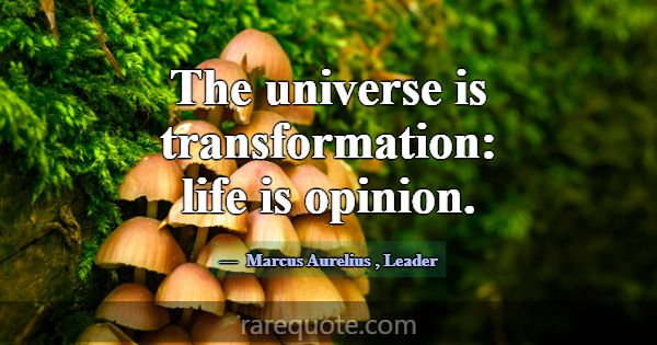The universe is transformation: life is opinion.... -Marcus Aurelius