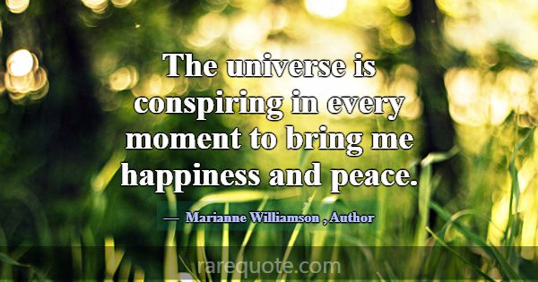 The universe is conspiring in every moment to brin... -Marianne Williamson