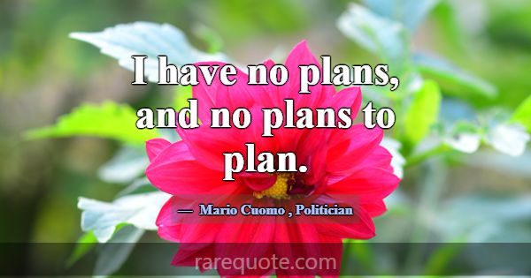 I have no plans, and no plans to plan.... -Mario Cuomo