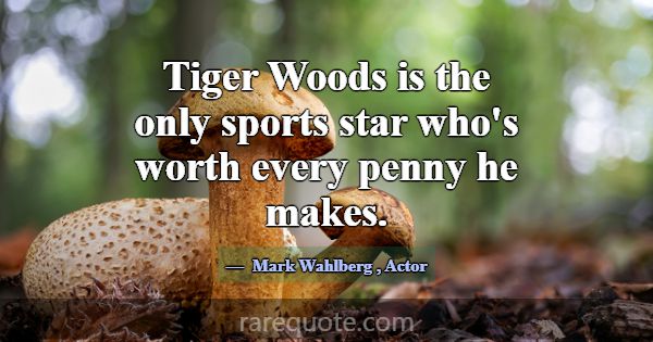 Tiger Woods is the only sports star who's worth ev... -Mark Wahlberg