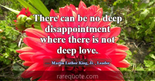 There can be no deep disappointment where there is... -Martin Luther King, Jr.