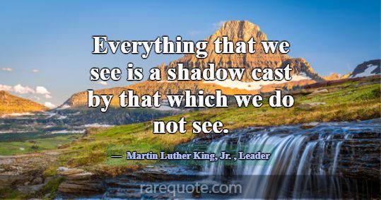 Everything that we see is a shadow cast by that wh... -Martin Luther King, Jr.