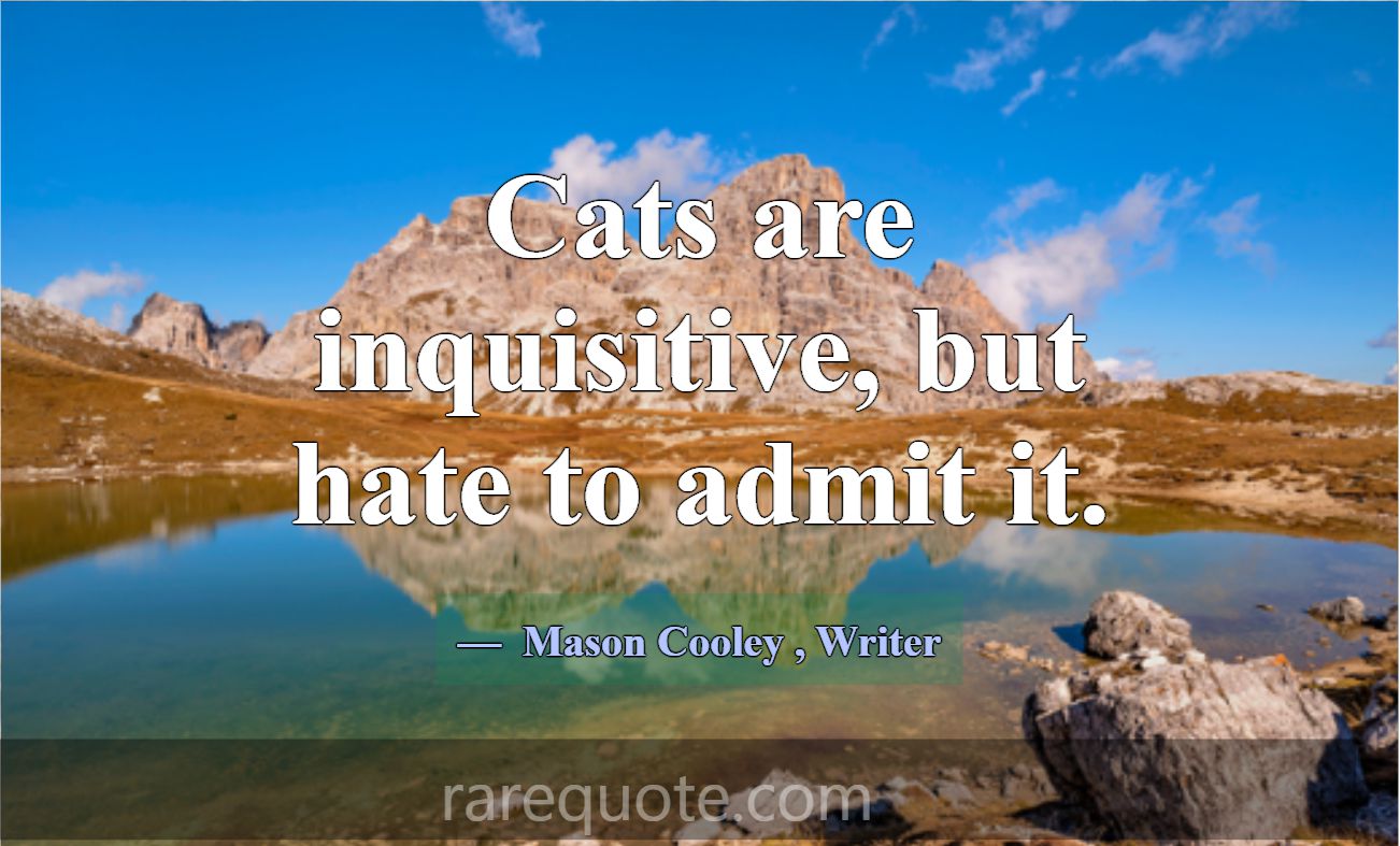 Cats are inquisitive, but hate to admit it.... -Mason Cooley