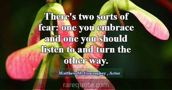 There's two sorts of fear: one you embrace and one... -Matthew McConaughey