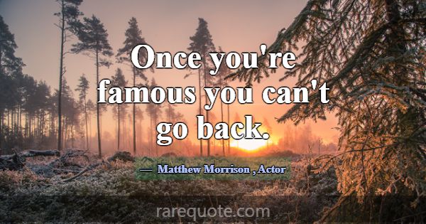Once you're famous you can't go back.... -Matthew Morrison