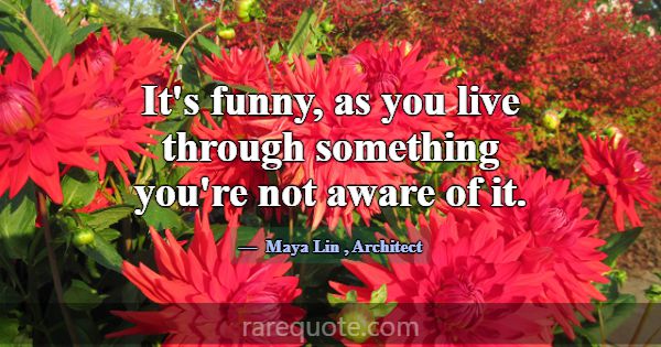 It's funny, as you live through something you're n... -Maya Lin