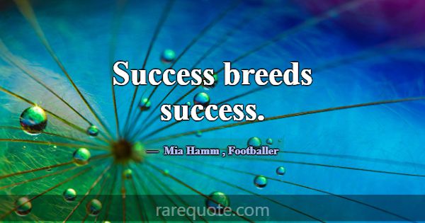 Success breeds success.... -Mia Hamm