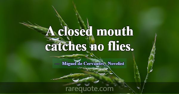 A closed mouth catches no flies.... -Miguel de Cervantes