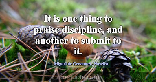 It is one thing to praise discipline, and another ... -Miguel de Cervantes