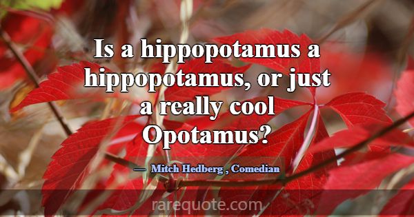 Is a hippopotamus a hippopotamus, or just a really... -Mitch Hedberg