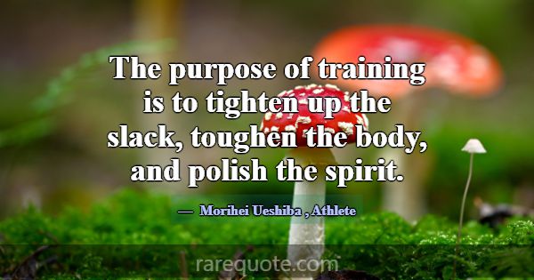 The purpose of training is to tighten up the slack... -Morihei Ueshiba