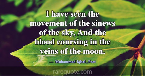 I have seen the movement of the sinews of the sky,... -Muhammad Iqbal