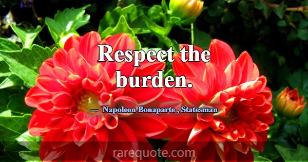 Respect the burden.... -Napoleon Bonaparte