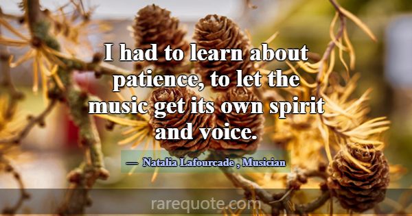 I had to learn about patience, to let the music ge... -Natalia Lafourcade