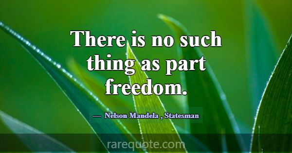 There is no such thing as part freedom.... -Nelson Mandela