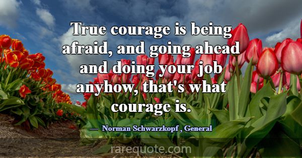True courage is being afraid, and going ahead and ... -Norman Schwarzkopf