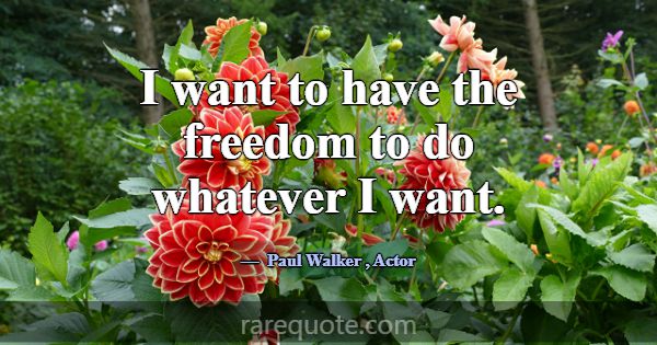 I want to have the freedom to do whatever I want.... -Paul Walker