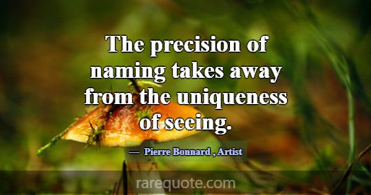 The precision of naming takes away from the unique... -Pierre Bonnard