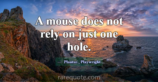 A mouse does not rely on just one hole.... -Plautus