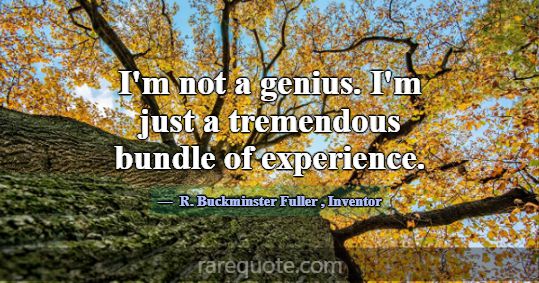 I'm not a genius. I'm just a tremendous bundle of ... -R. Buckminster Fuller